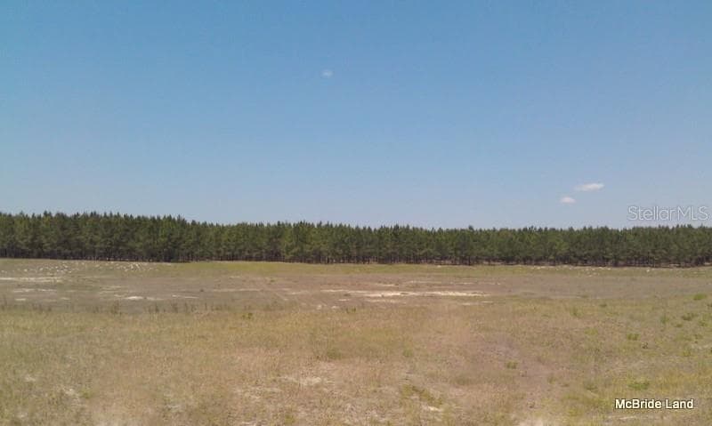 Land at 17001 SW HIGHWAY 484, DUNNELLON, photo 14 of 39