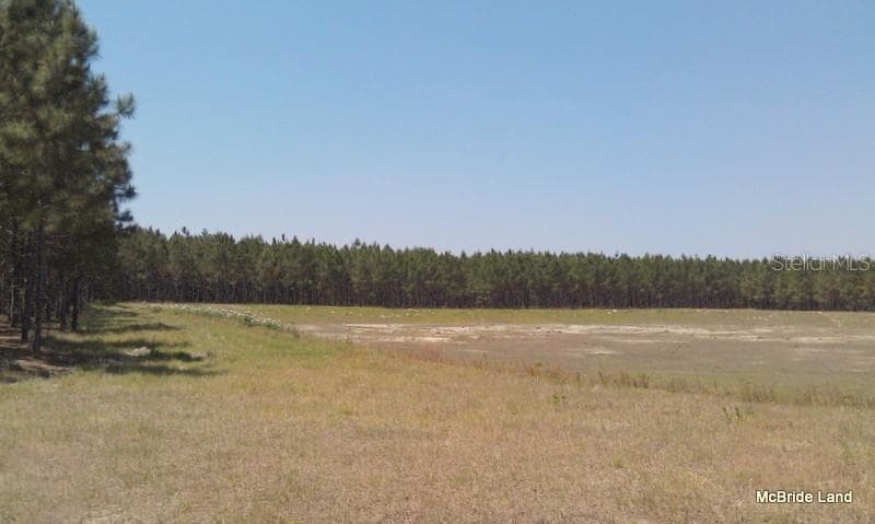 Land at 17001 SW HIGHWAY 484, DUNNELLON, photo 15 of 39