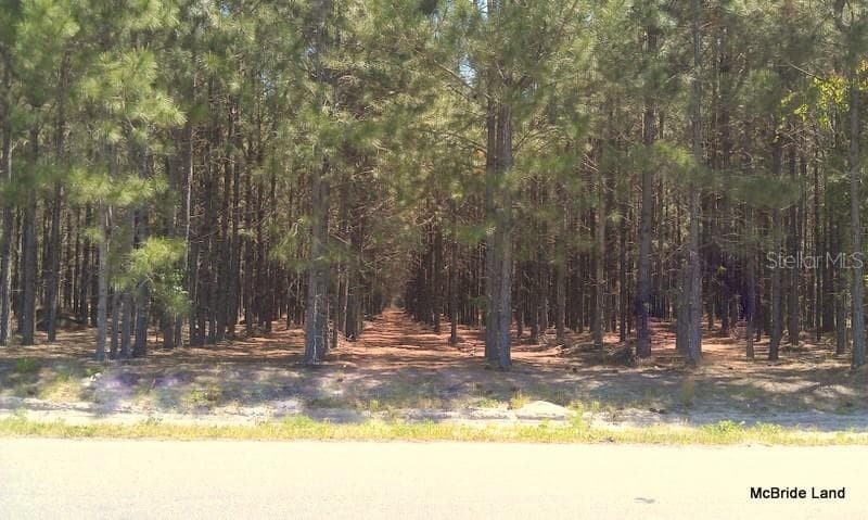 Land at 17001 SW HIGHWAY 484, DUNNELLON, photo 16 of 39