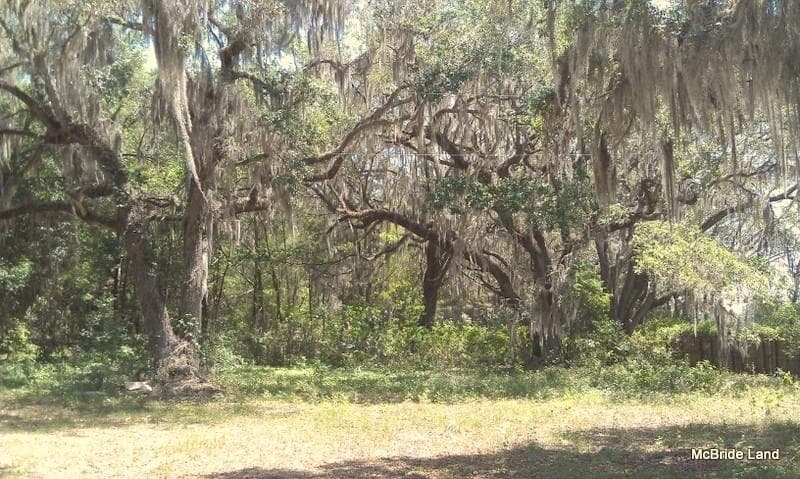 Land at 17001 SW HIGHWAY 484, DUNNELLON, photo 23 of 39