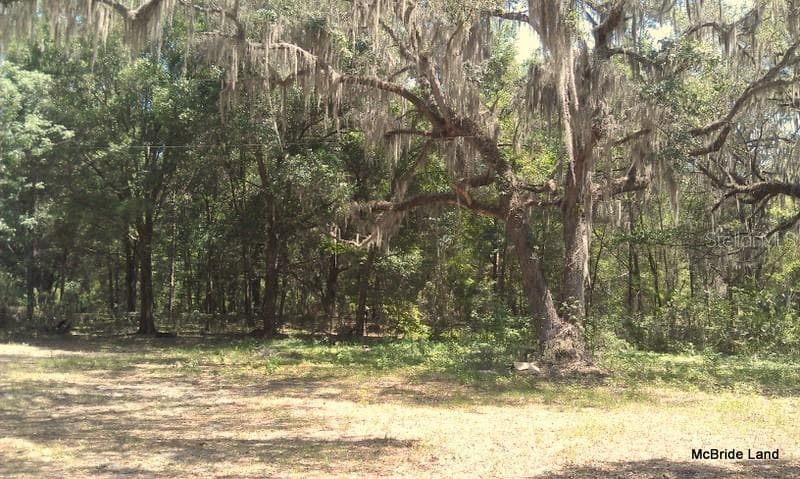 Land at 17001 SW HIGHWAY 484, DUNNELLON, photo 24 of 39