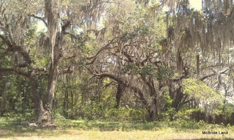 Land at 17001 SW HIGHWAY 484, DUNNELLON, photo 25 of 39