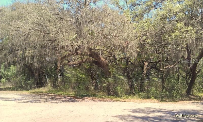 Land at 17001 SW HIGHWAY 484, DUNNELLON, photo 26 of 39