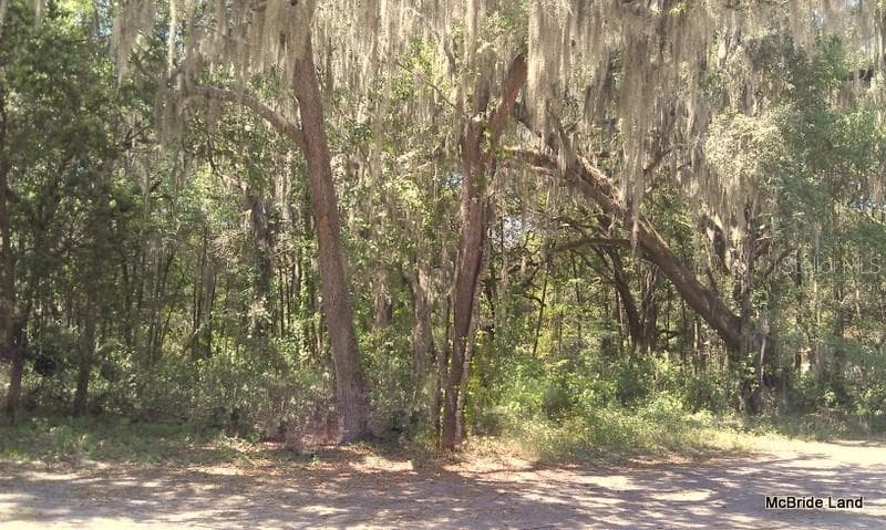 Land at 17001 SW HIGHWAY 484, DUNNELLON, photo 27 of 39