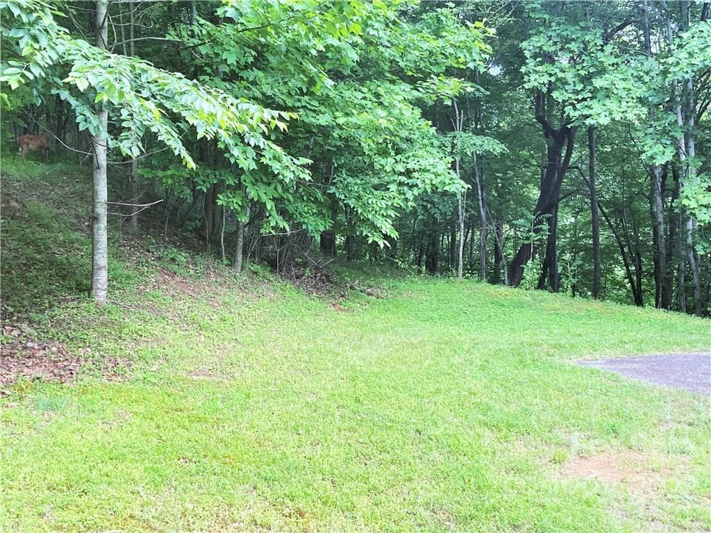 Lot at Arden, photo 6 of 29