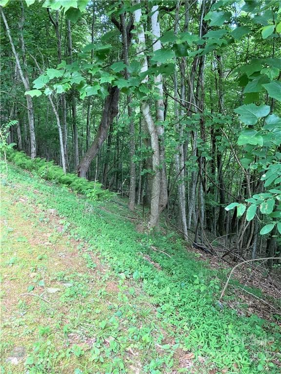 Lot at Arden, photo 7 of 29