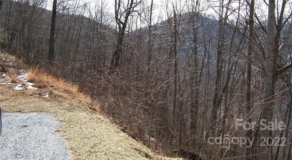 winter Mountain view. top some trees for year round view - Arden