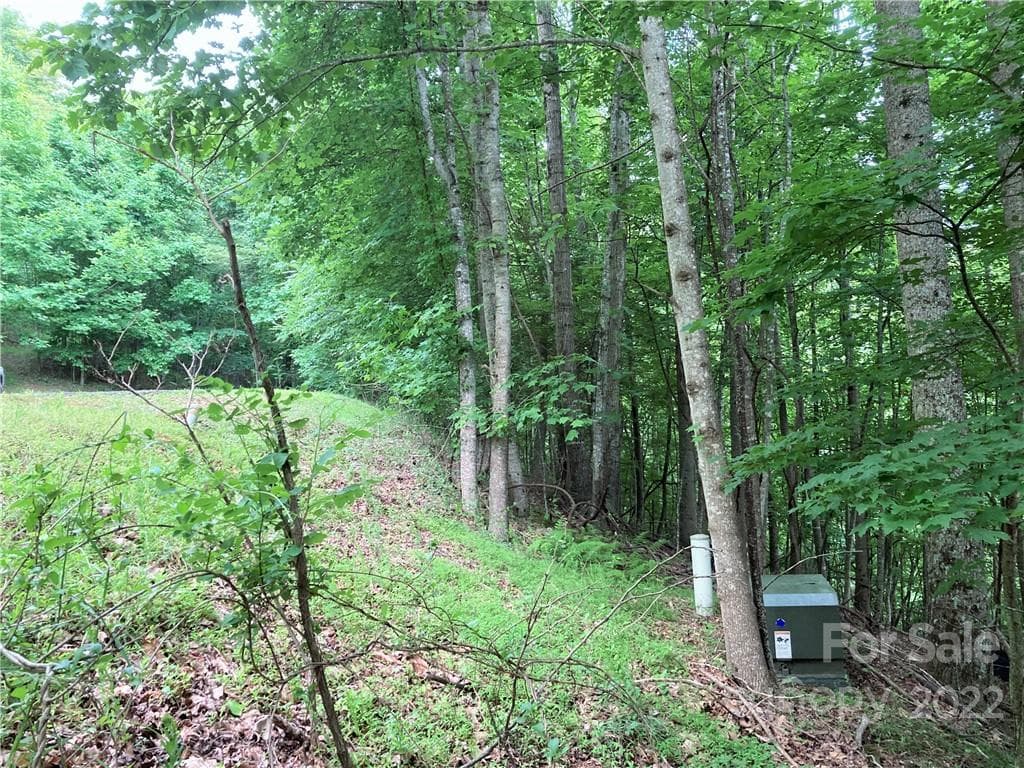 Lot at Arden, photo 11 of 29