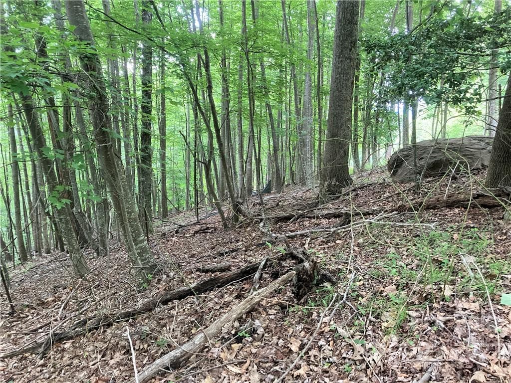 Lot at Arden, photo 16 of 29