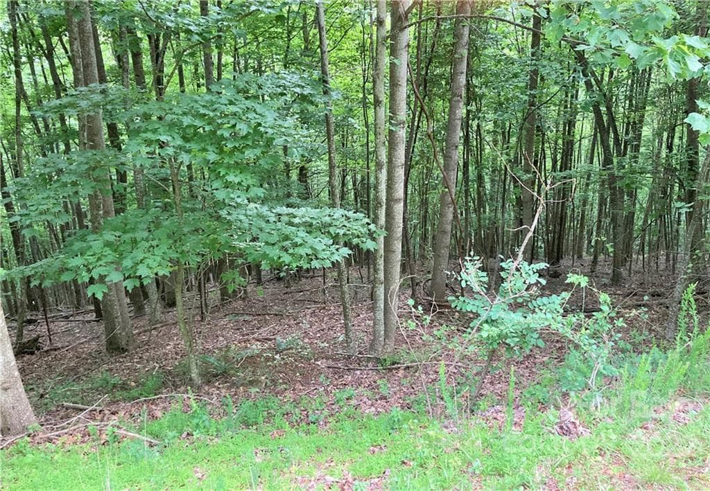 Lot at Arden, photo 20 of 29