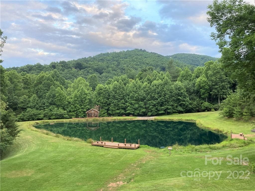 Fish Pond - Arden