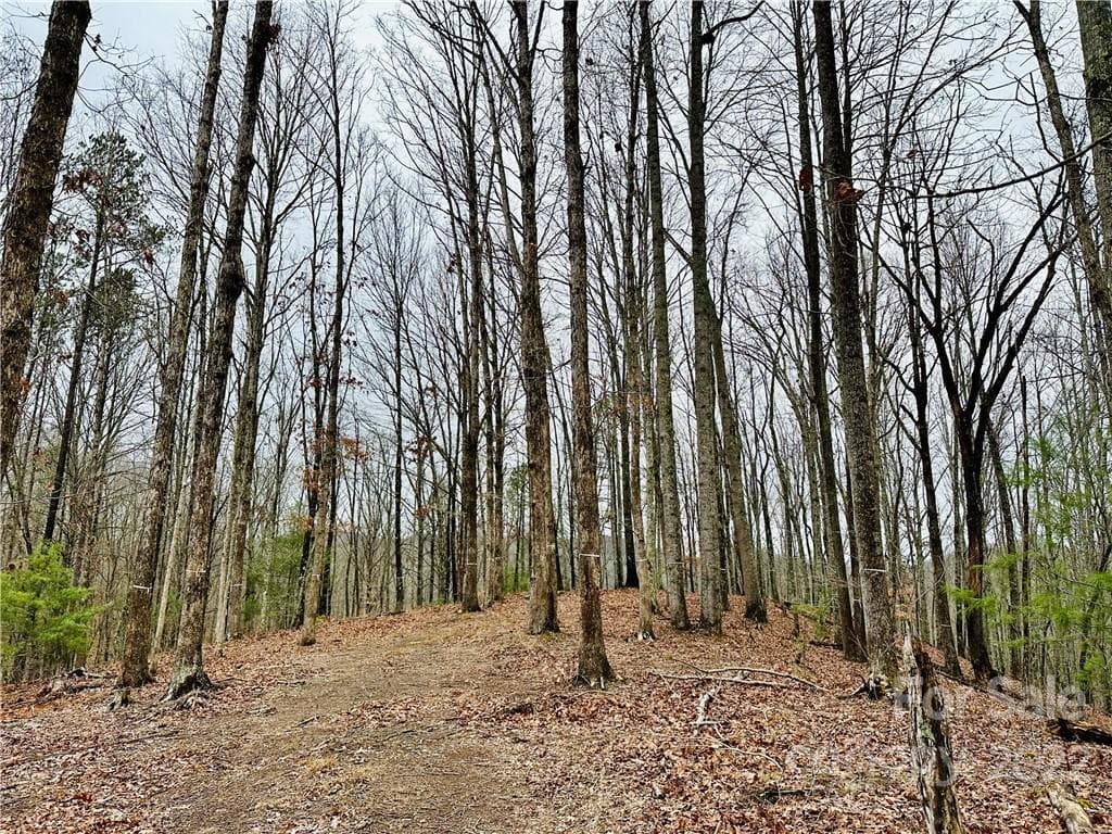 With a bit of limbing and minor clearing, this location will have a beautiful sunset view! - Marshall