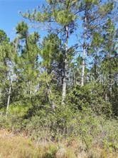 S FORK RANCH DR