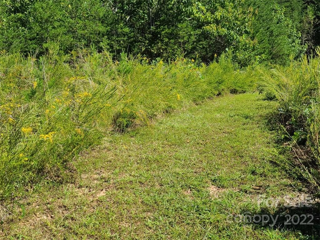Lot at Lake Lure, photo 27 of 36