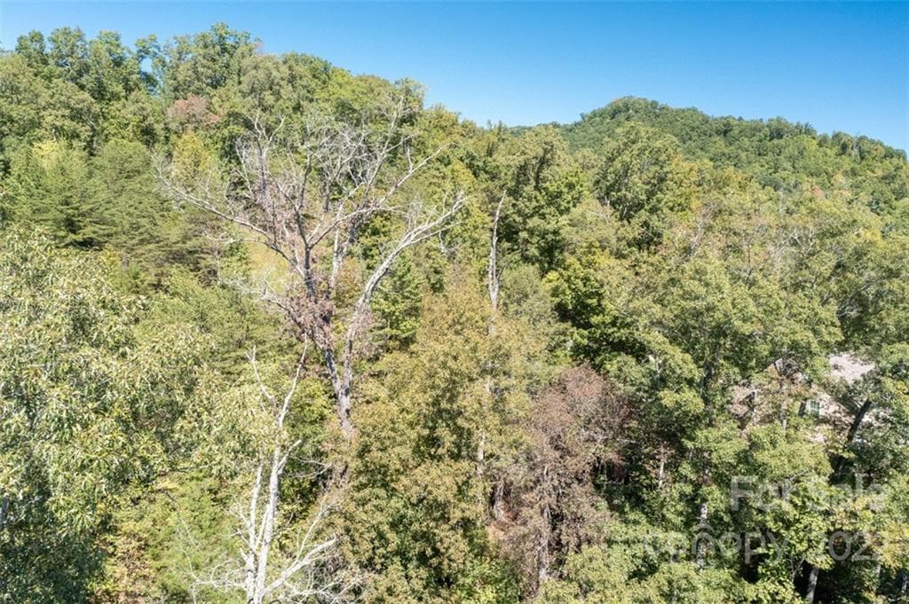 Lot at Lake Lure, photo 32 of 36