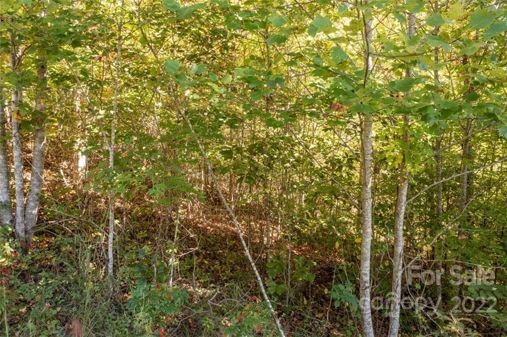 Lot at Lake Lure, photo 34 of 36