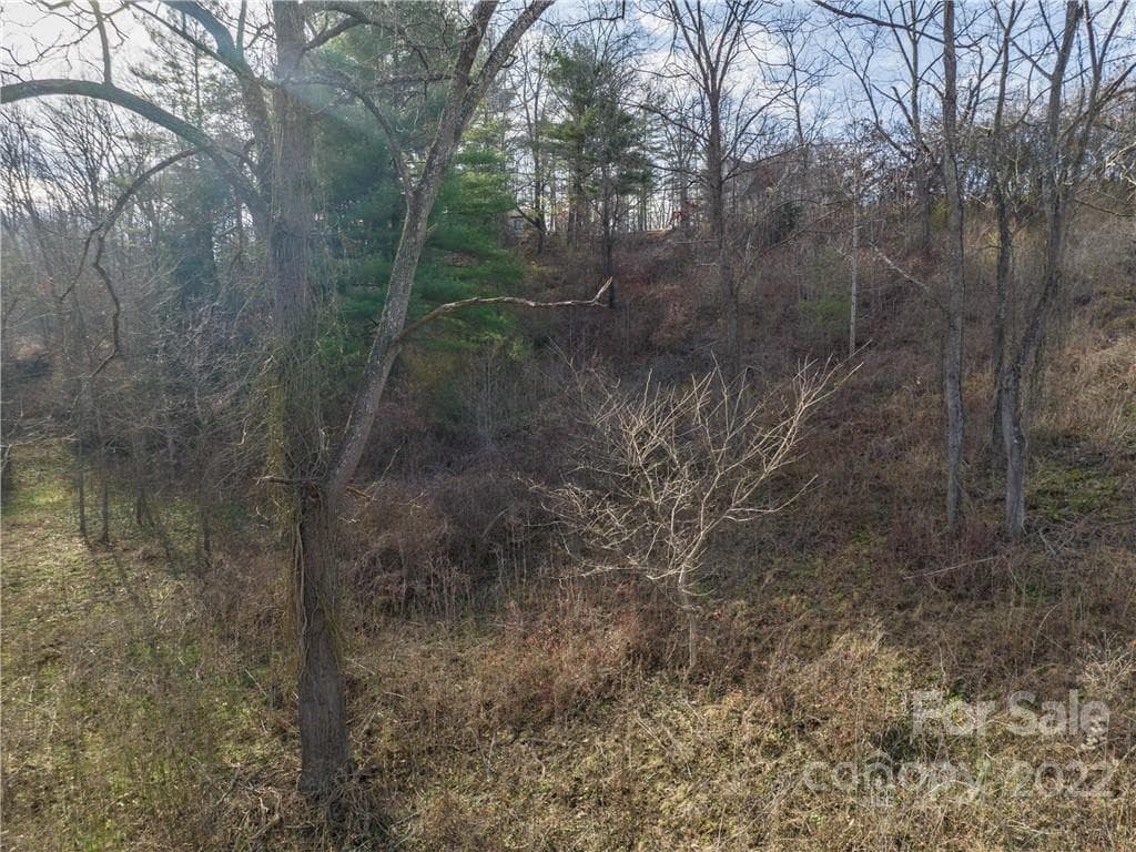 Lot at Midway Crossing, Clyde, photo 12 of 17