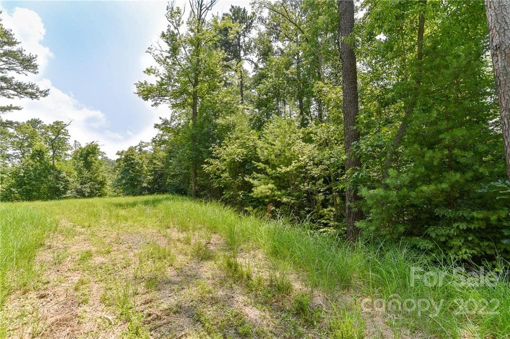 Lot at The Vines, Marshall, photo 2 of 13