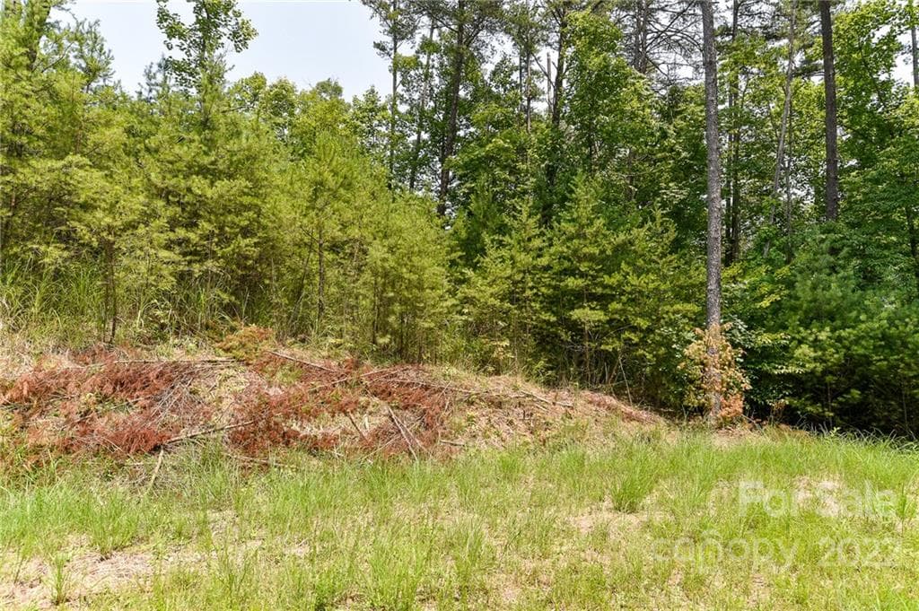 Lot at The Vines, Marshall, photo 4 of 13