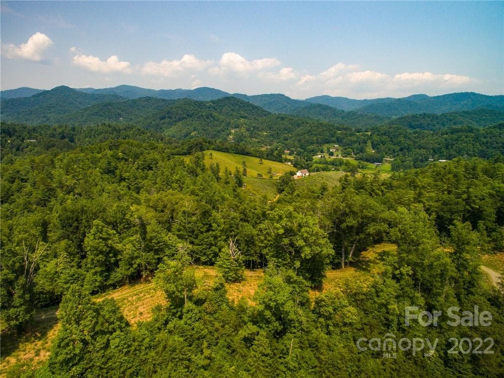 Lot at The Vines, Marshall, photo 7 of 13