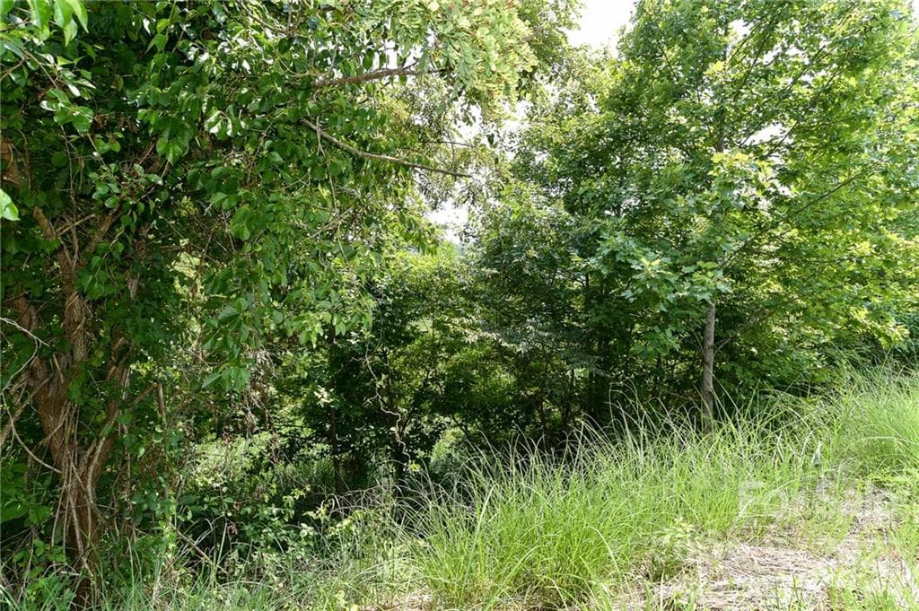 Lot at The Vines, Marshall, photo 2 of 10