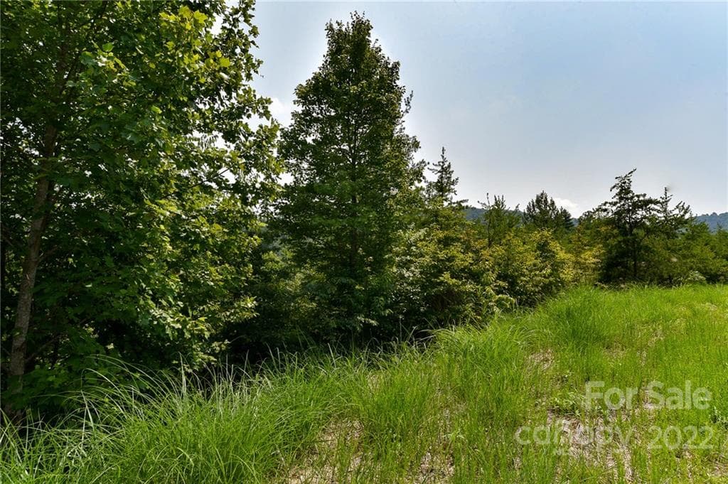Lot at The Vines, Marshall, photo 2 of 11