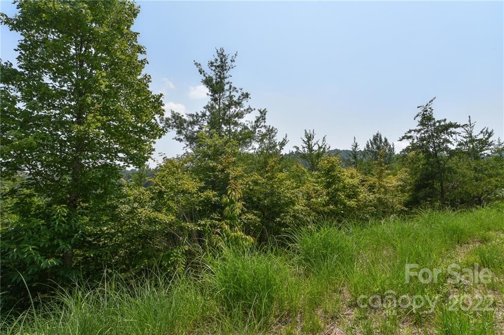 Lot at The Vines, Marshall, photo 3 of 11