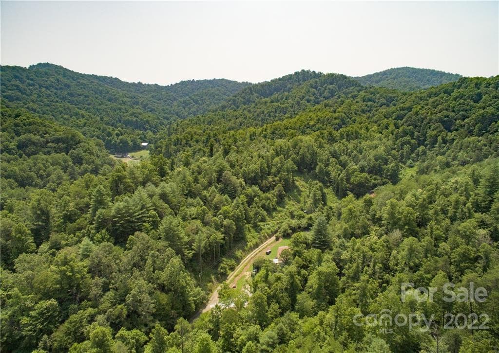 Lot at The Vines, Marshall, photo 7 of 11