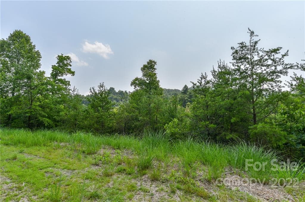 Lot at Lot 11 The Vines Boulevard, Marshall, photo 3 of 11