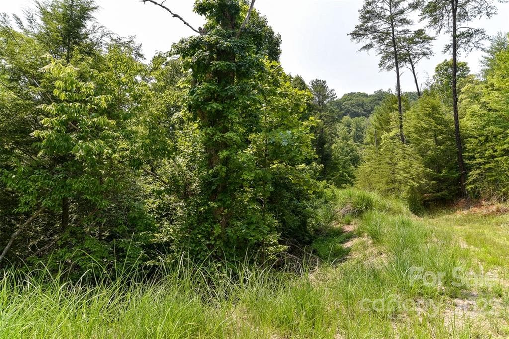 Lot at Marshall, photo 2 of 10
