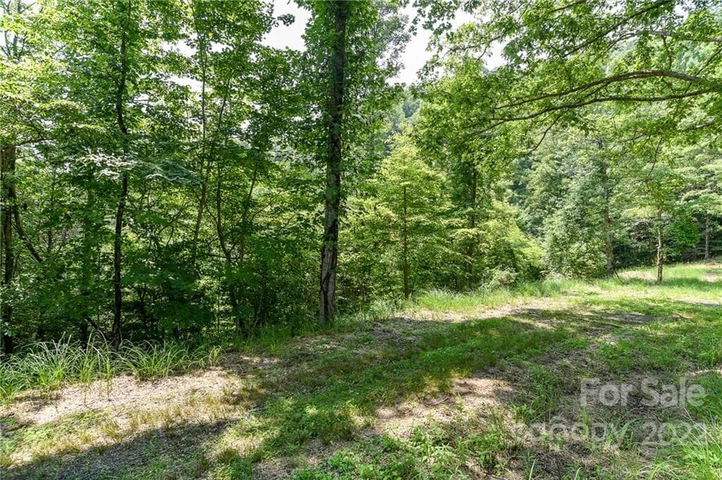Lot at The Vines, Marshall, photo 2 of 10