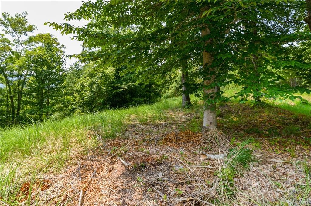 Lot at Marshall, photo 2 of 12