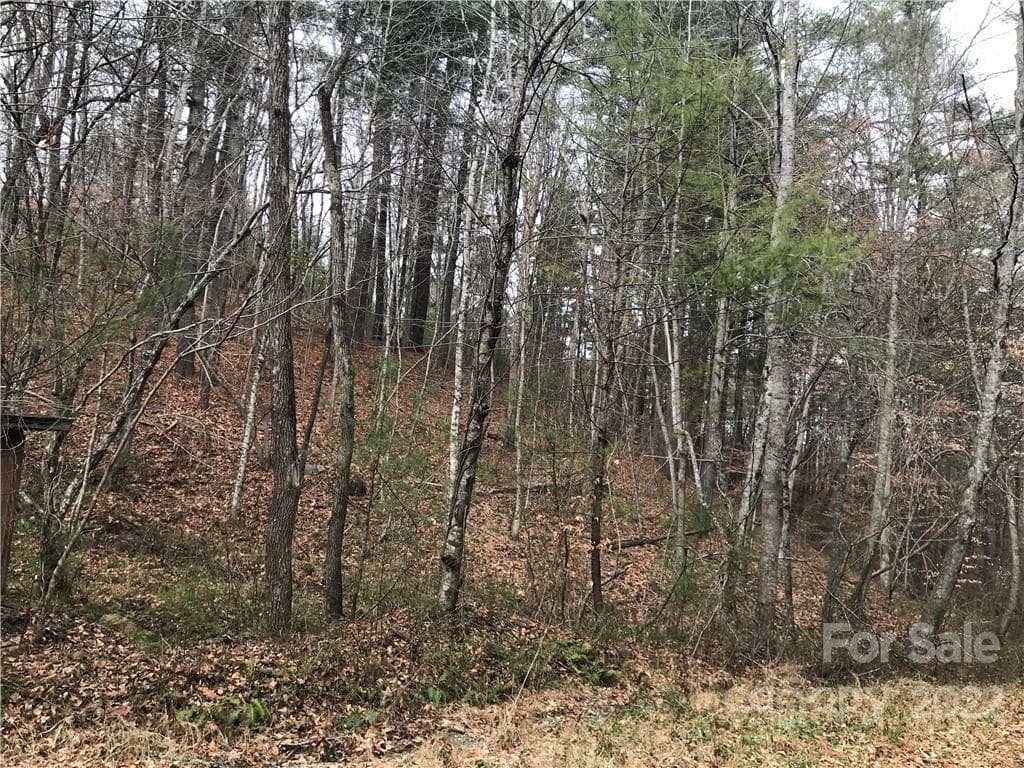 Acreage at Weaverville, photo 2 of 5