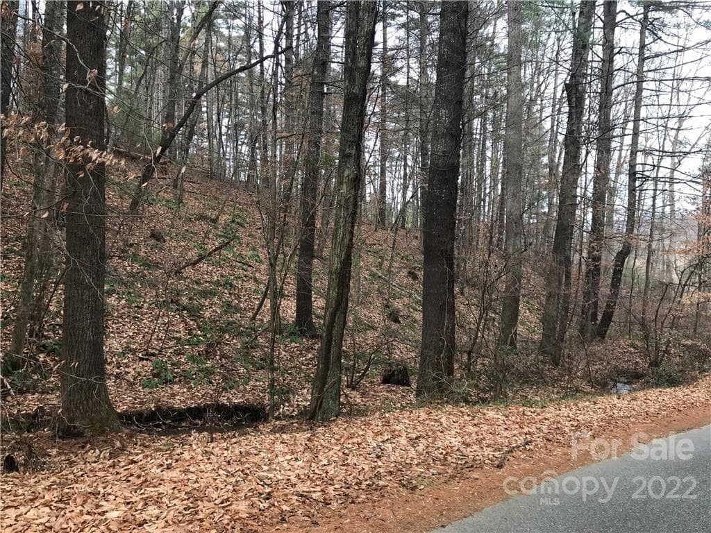 Acreage at Weaverville, photo 3 of 5