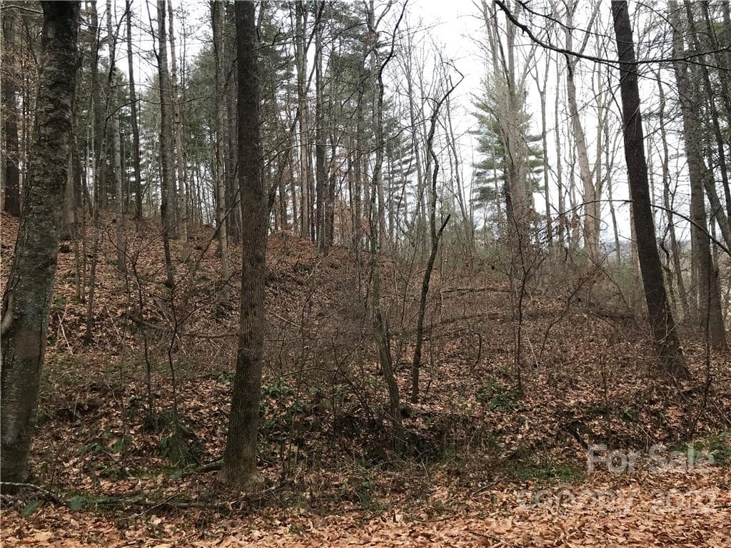 Acreage at Weaverville, photo 4 of 5