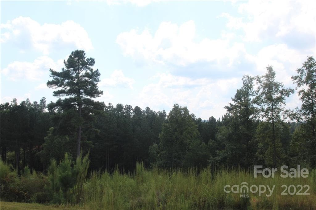 Lot at 2038 Inlet Shore Road NE, Connelly Springs, photo 3 of 14