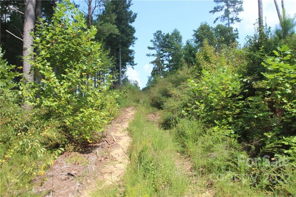 Lot at 2038 Inlet Shore Road NE, Connelly Springs, photo 10 of 14