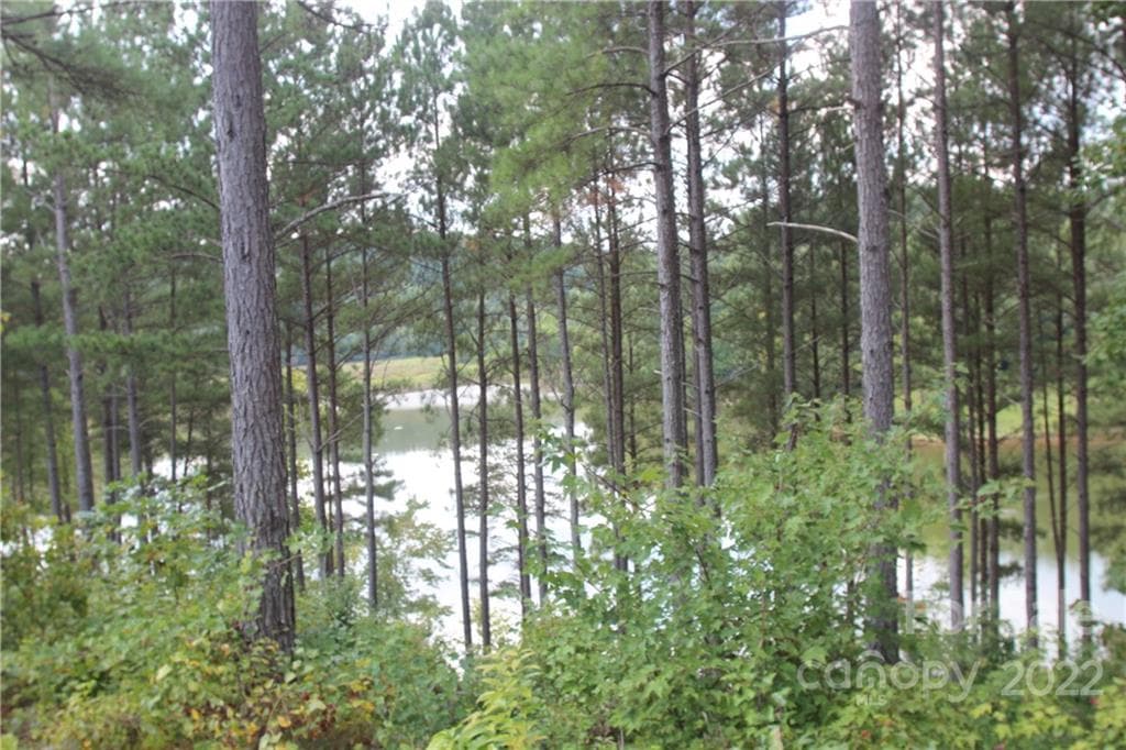Lot at 2038 Inlet Shore Road NE, Connelly Springs, photo 11 of 14