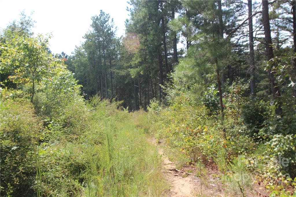 Lot at 2038 Inlet Shore Road NE, Connelly Springs, photo 12 of 14