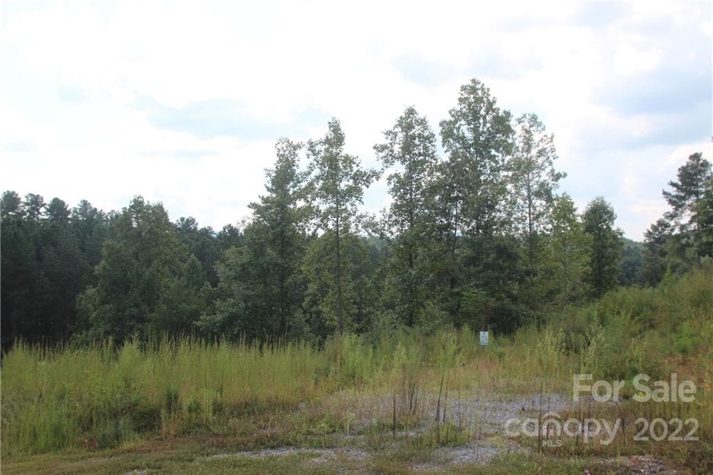 Lot at 2038 Inlet Shore Road NE, Connelly Springs, photo 13 of 14