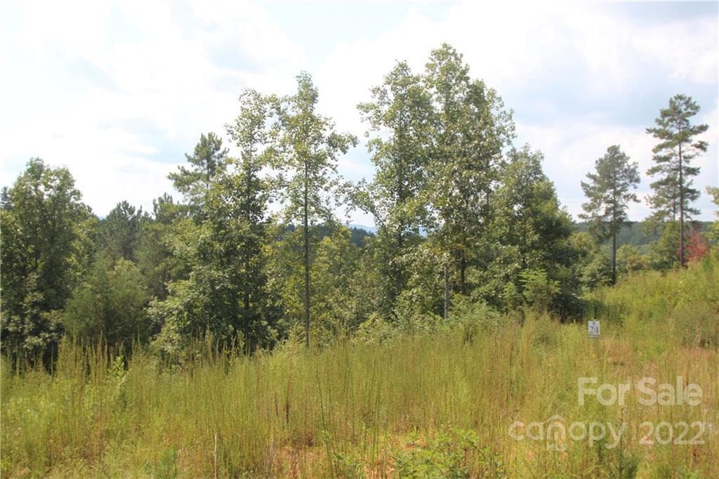 Lot at 2048 Inlet Shore Road NE, Connelly Springs, photo 8 of 11