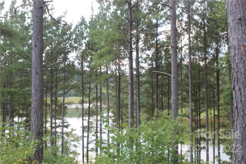 Lot at 2048 Inlet Shore Road NE, Connelly Springs, photo 10 of 11