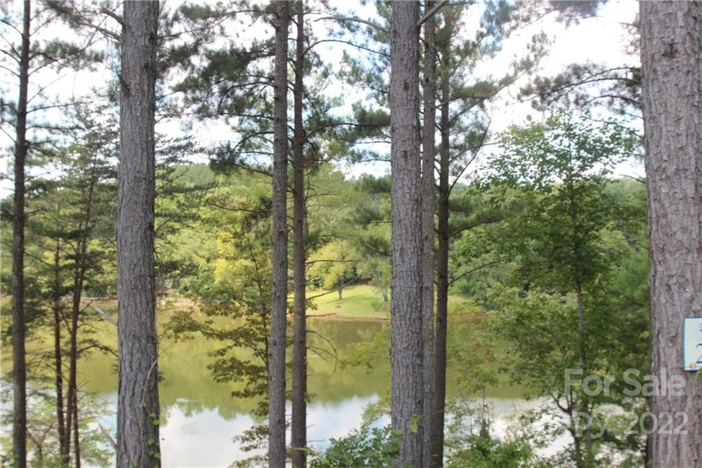 Lot at 2038 & 2048 Inlet Shore Road NE, Connelly Springs, photo 3 of 13