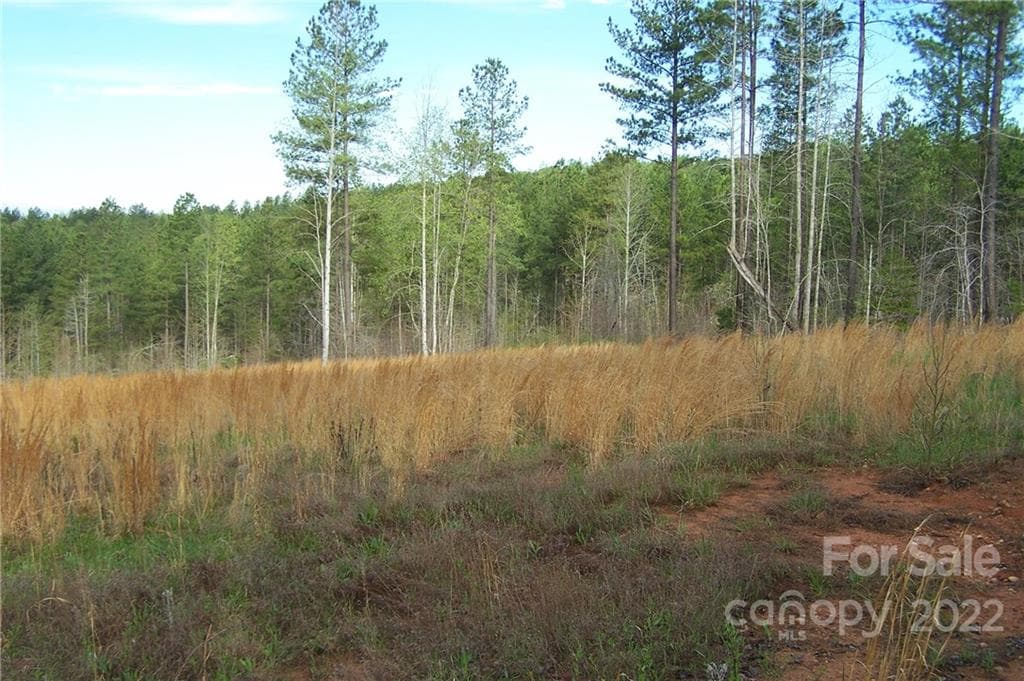 Acreage at Mill Spring, photo 2 of 7