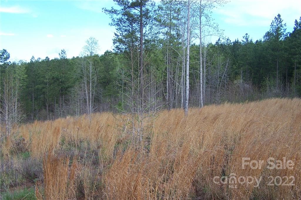 Acreage at Mill Spring, photo 4 of 7