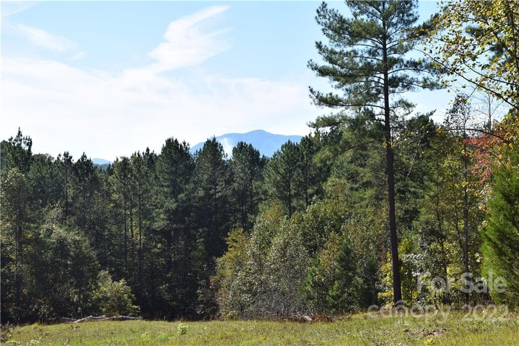 Acreage at Mill Spring, photo 6 of 7