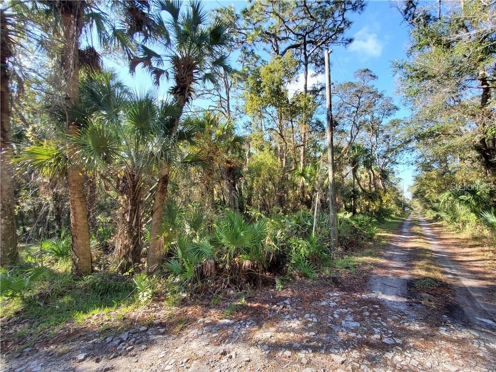 Land at 8738 LINDY LN, NEW PORT RICHEY, photo 8 of 12