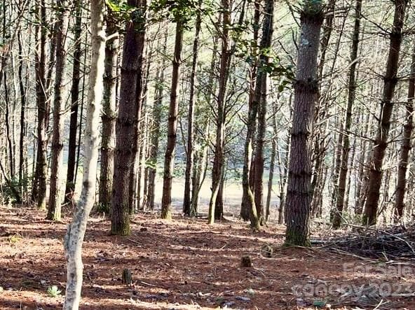 2.29 acres Lot 94 Crescent Ridge Drive