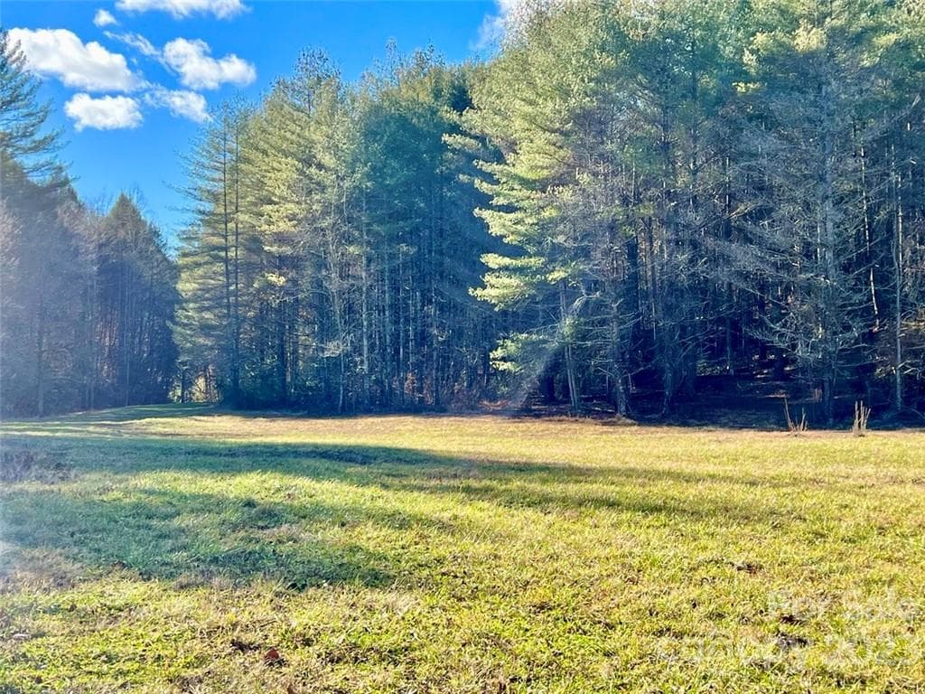 There is an open meadow at the back with a stream and trail easement - Lenoir