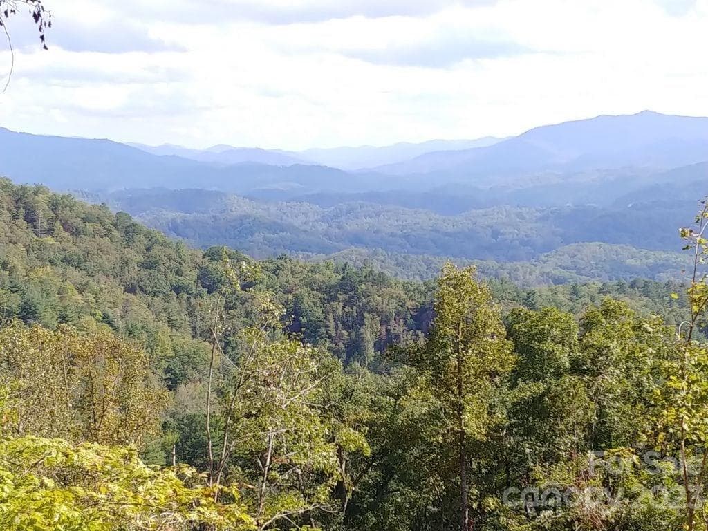 Lot at Lot 45 Thomas Divide Way, Bryson City, photo 3 of 3